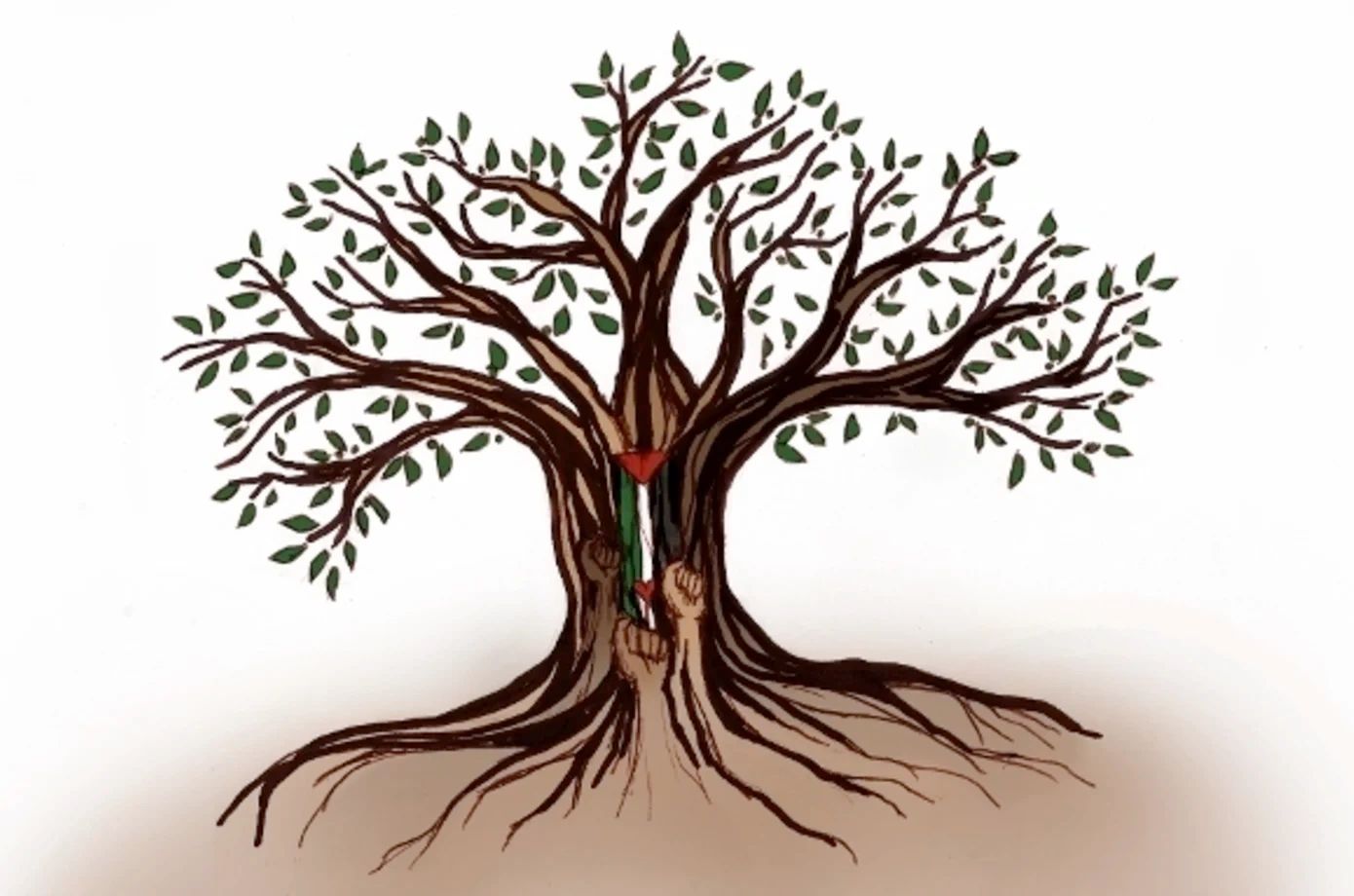 Olive Tree Palestine Logo Olive Tree Palestine Logo